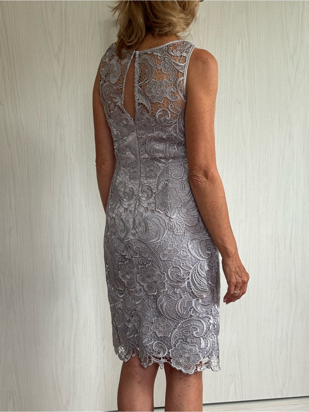 Adrianna Papell Silver Lace Midi Sheath Dress - Picture 3 of 5